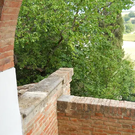 Caio Alto