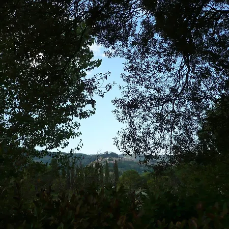 Caio Alto Cetona